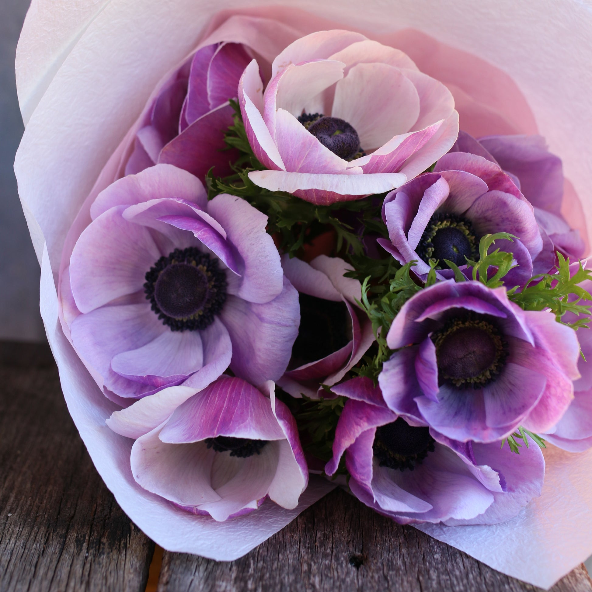 Farm Bunch - Anemone image 0
