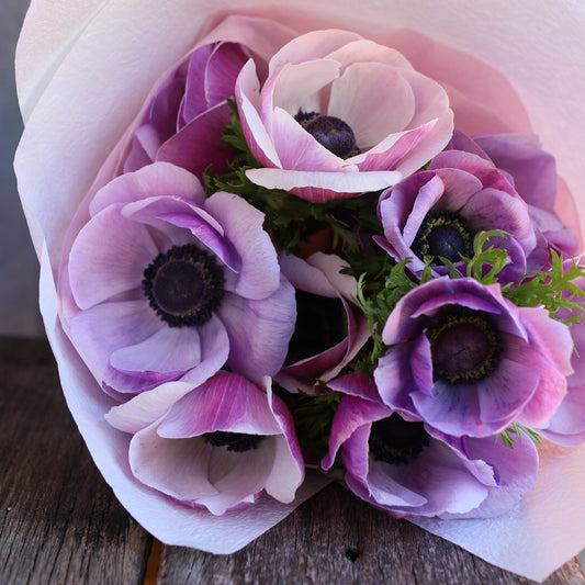 Farm Bunch - Anemone image 0