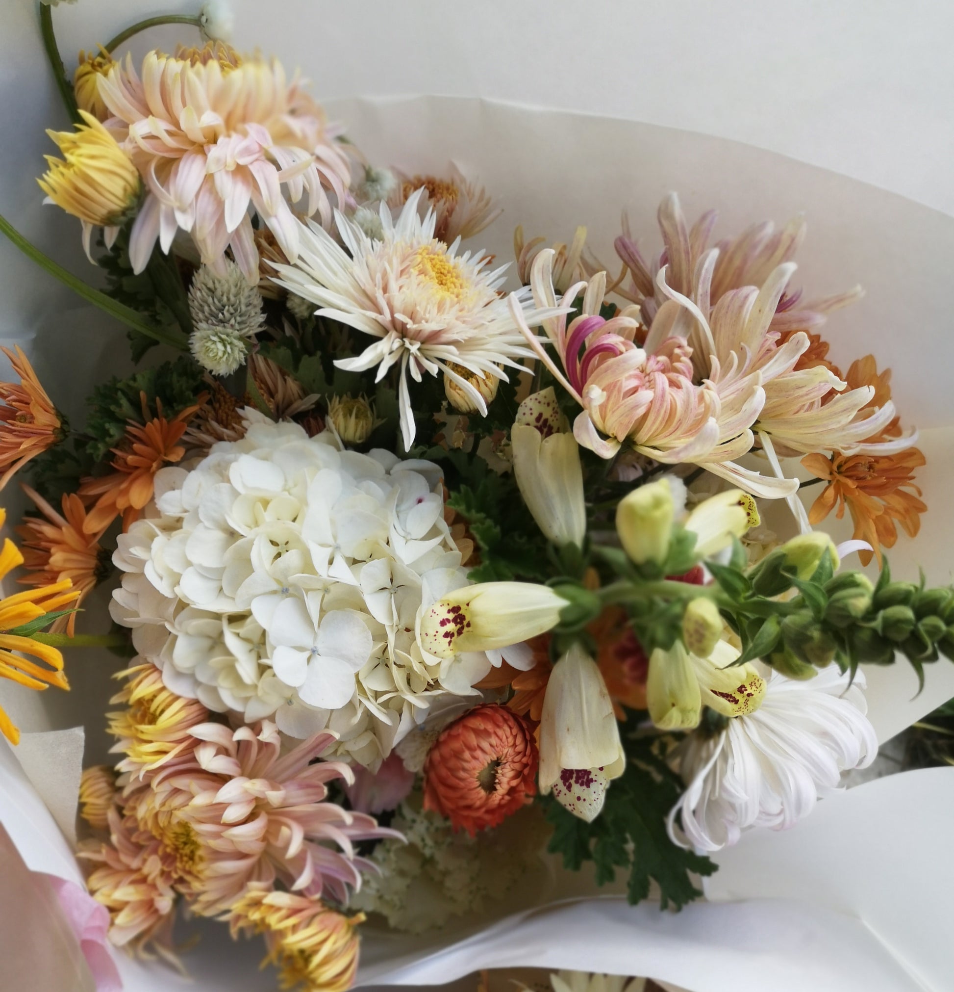 Seasonal Bouquet - Essence image 3