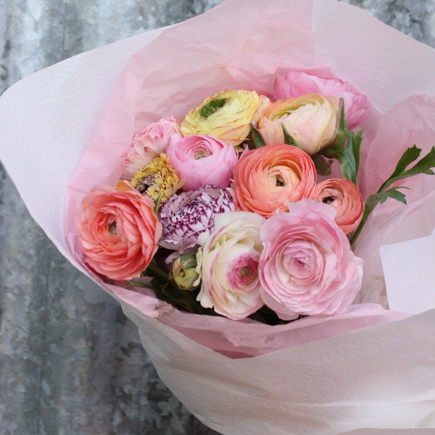 Farm Bunch -Ranunculus image 1